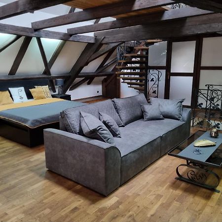Galerie Vila Lucia 5 -Loft Apartman Plzeň Eksteriør billede