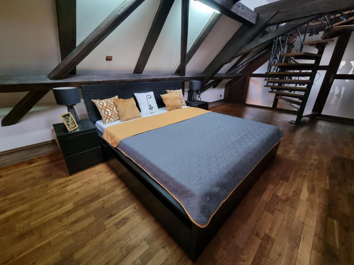 Galerie Vila Lucia 5 -Loft Apartman Plzeň Eksteriør billede