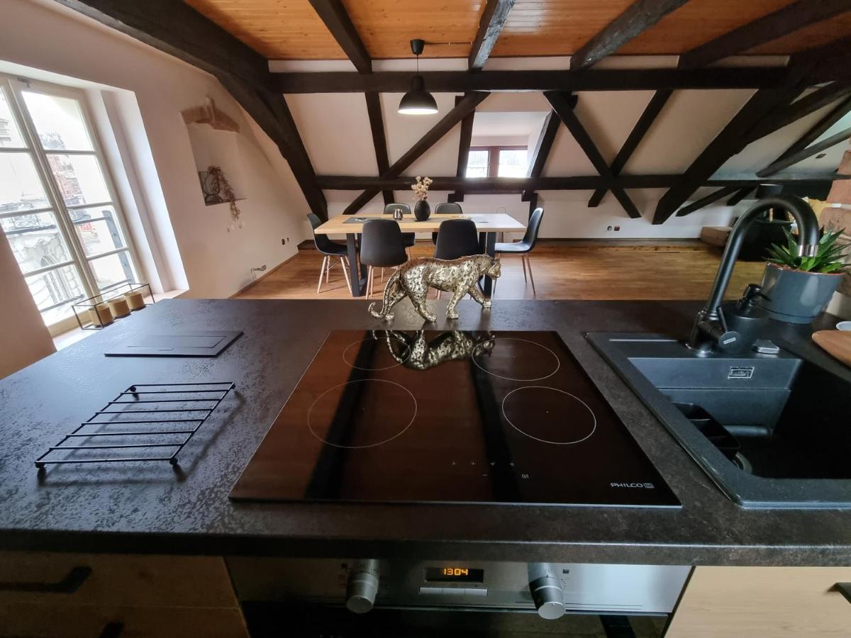 Galerie Vila Lucia 5 -Loft Apartman Plzeň Eksteriør billede
