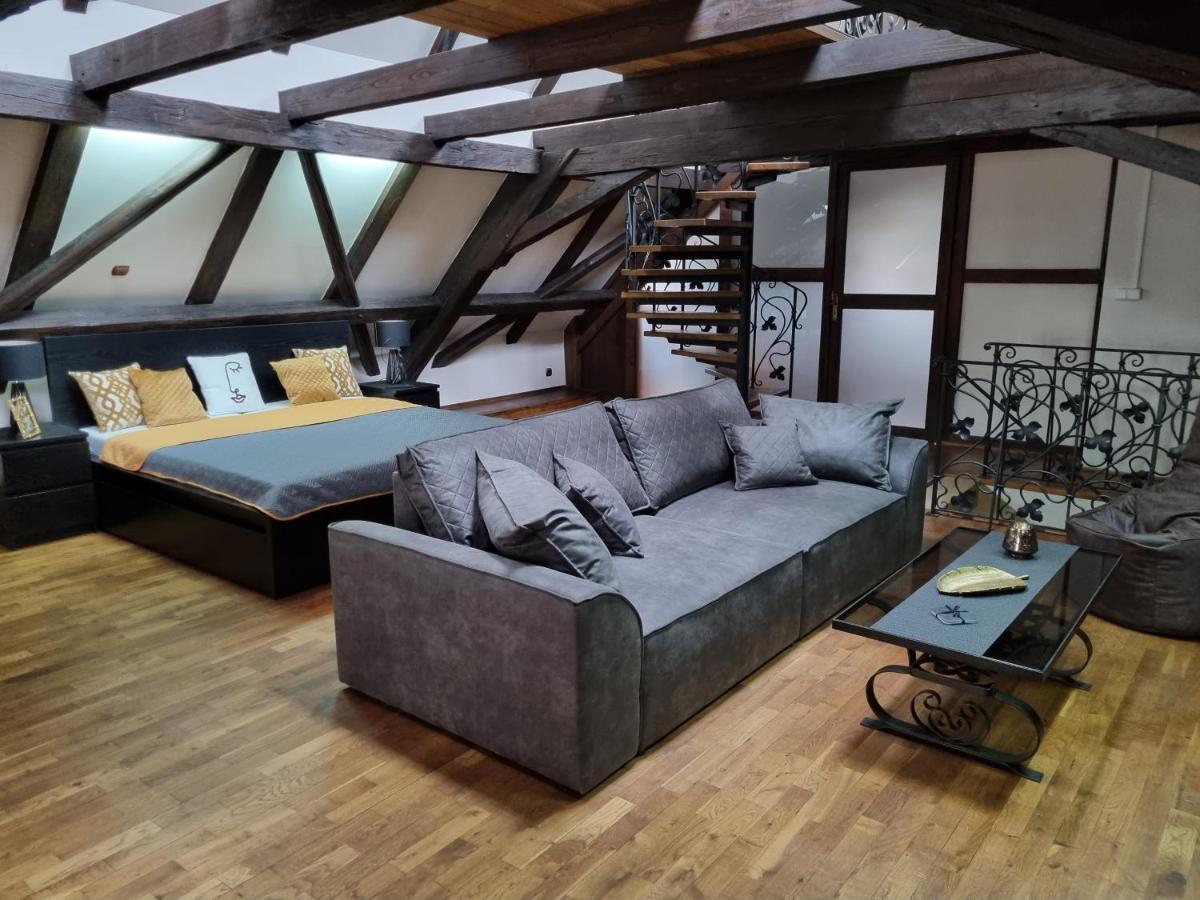 Galerie Vila Lucia 5 -Loft Apartman Plzeň Eksteriør billede