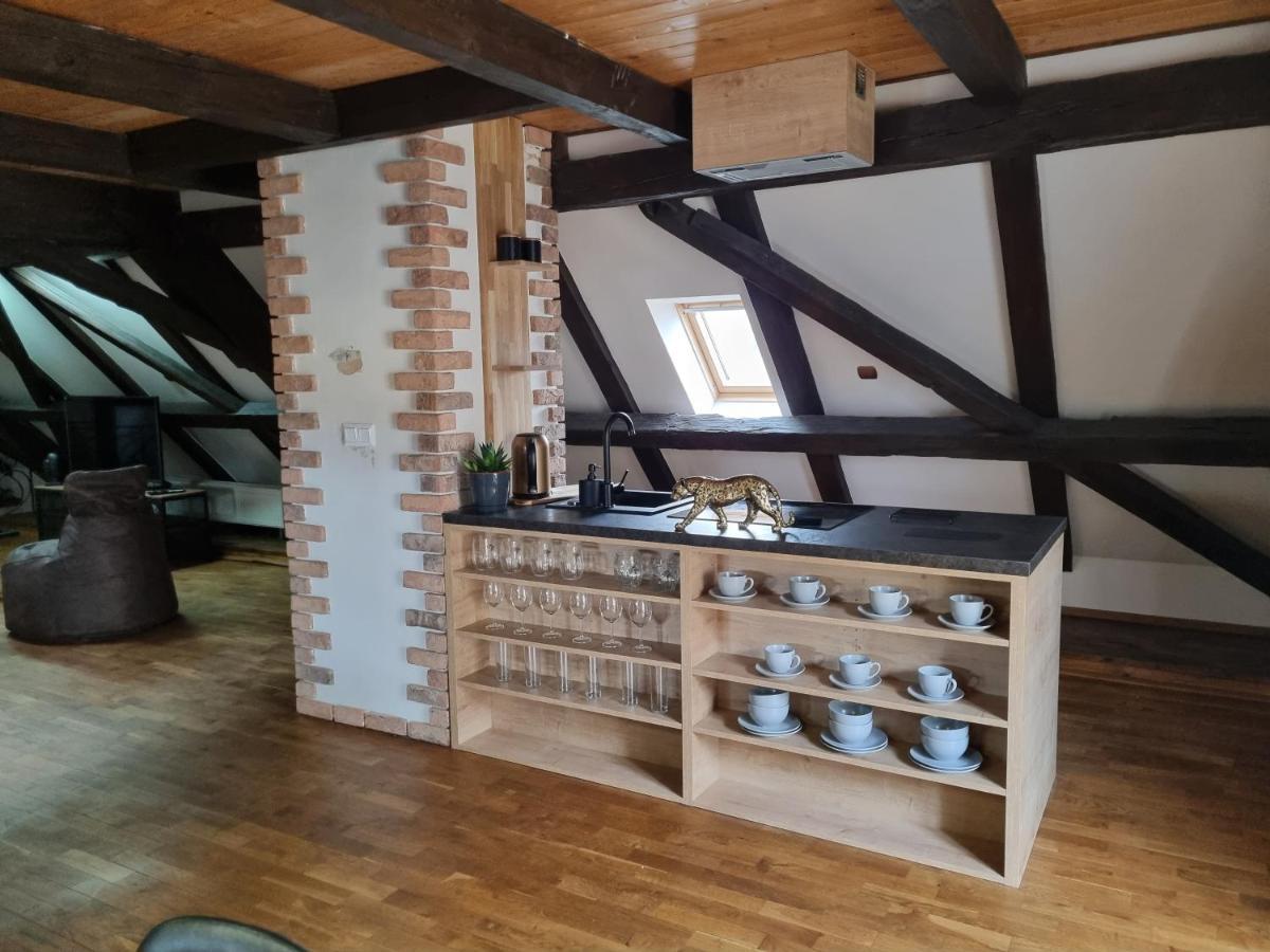 Galerie Vila Lucia 5 -Loft Apartman Plzeň Eksteriør billede