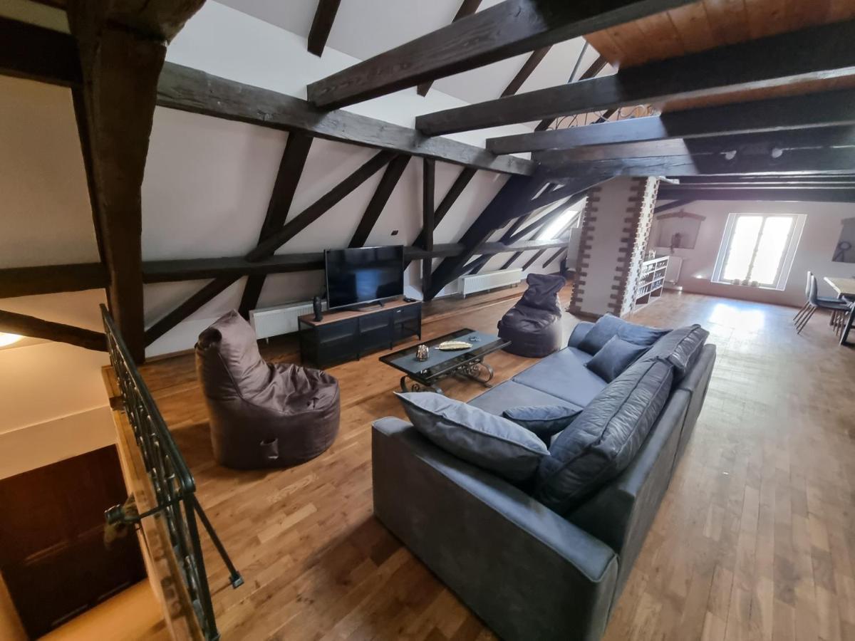 Galerie Vila Lucia 5 -Loft Apartman Plzeň Eksteriør billede