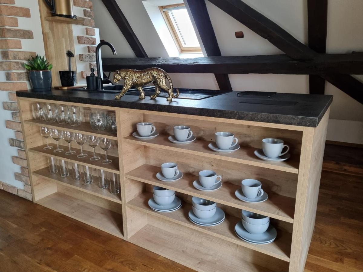 Galerie Vila Lucia 5 -Loft Apartman Plzeň Eksteriør billede