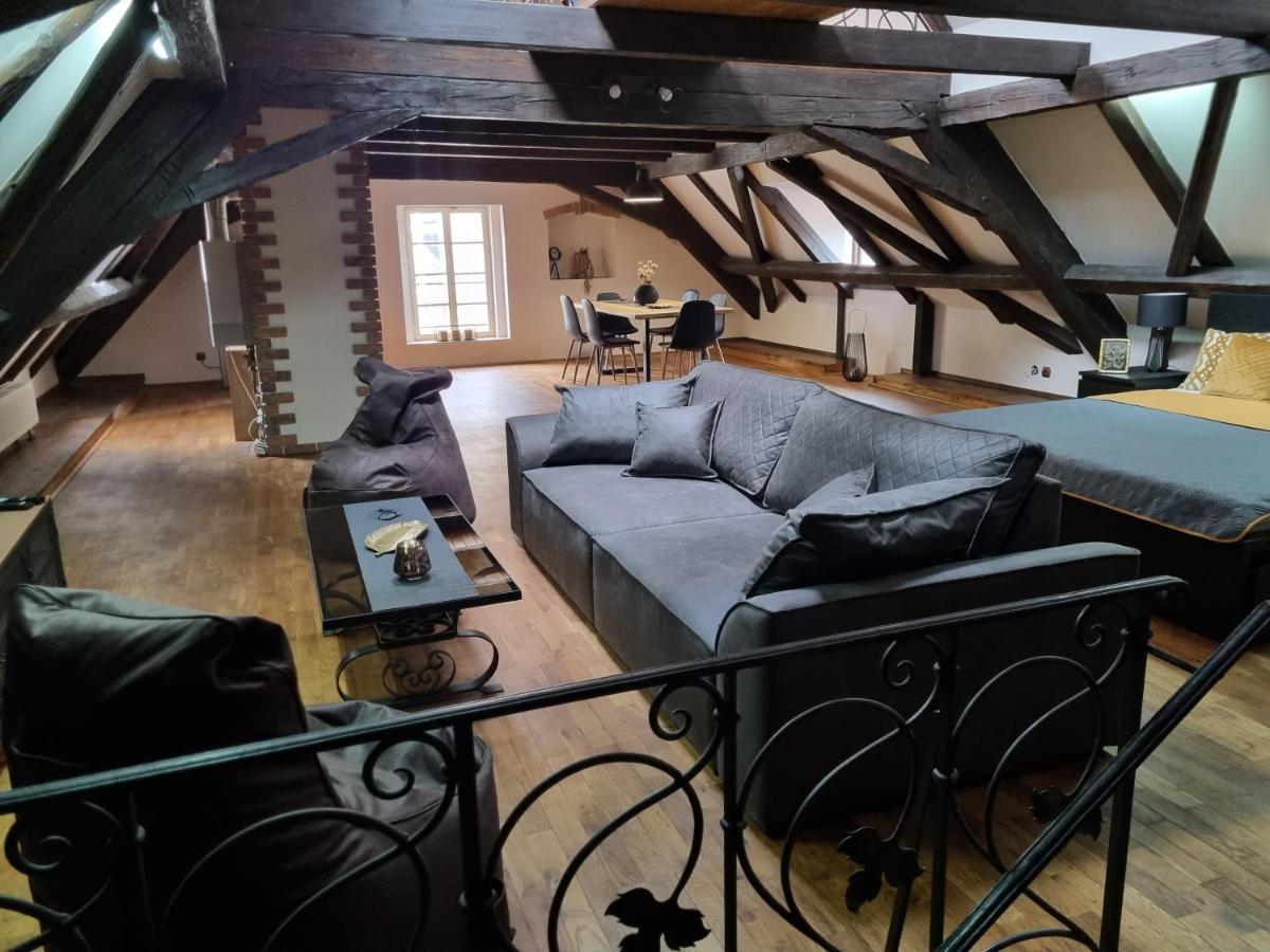 Galerie Vila Lucia 5 -Loft Apartman Plzeň Eksteriør billede