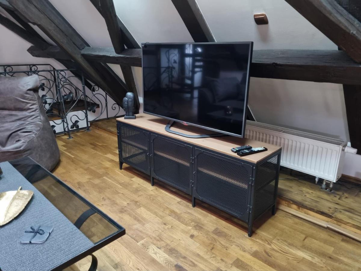 Galerie Vila Lucia 5 -Loft Apartman Plzeň Eksteriør billede