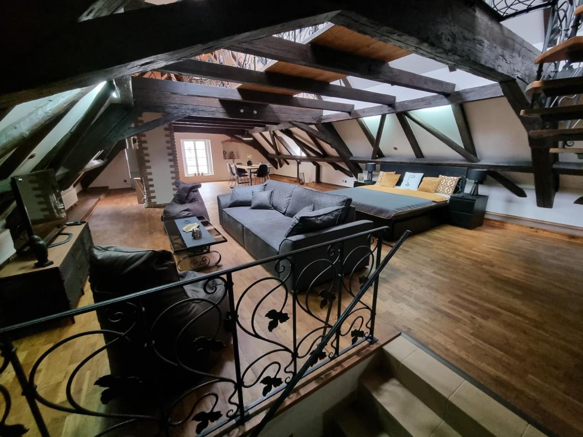 Galerie Vila Lucia 5 -Loft Apartman Plzeň Eksteriør billede