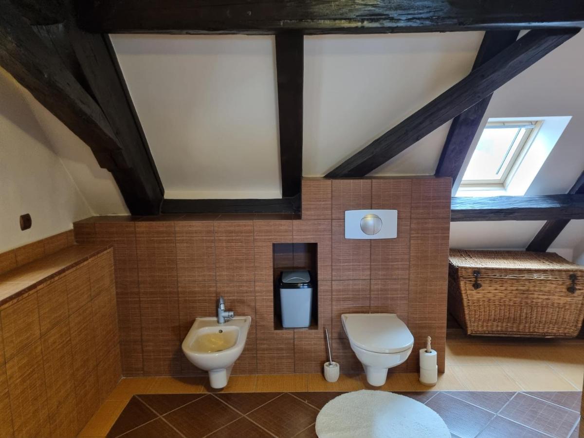Galerie Vila Lucia 5 -Loft Apartman Plzeň Eksteriør billede