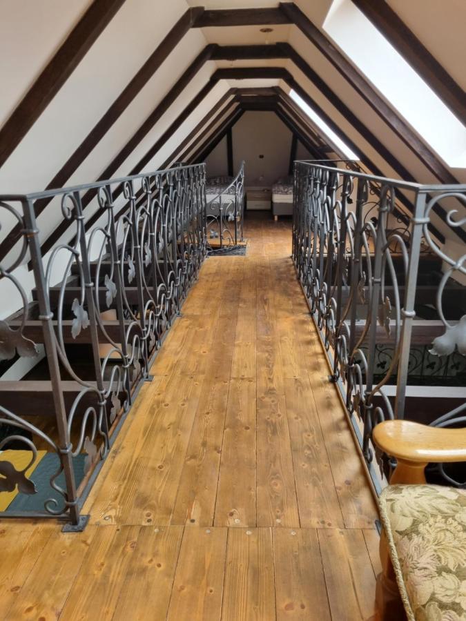 Galerie Vila Lucia 5 -Loft Apartman Plzeň Eksteriør billede